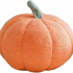 Real Pumpkin Pillow 